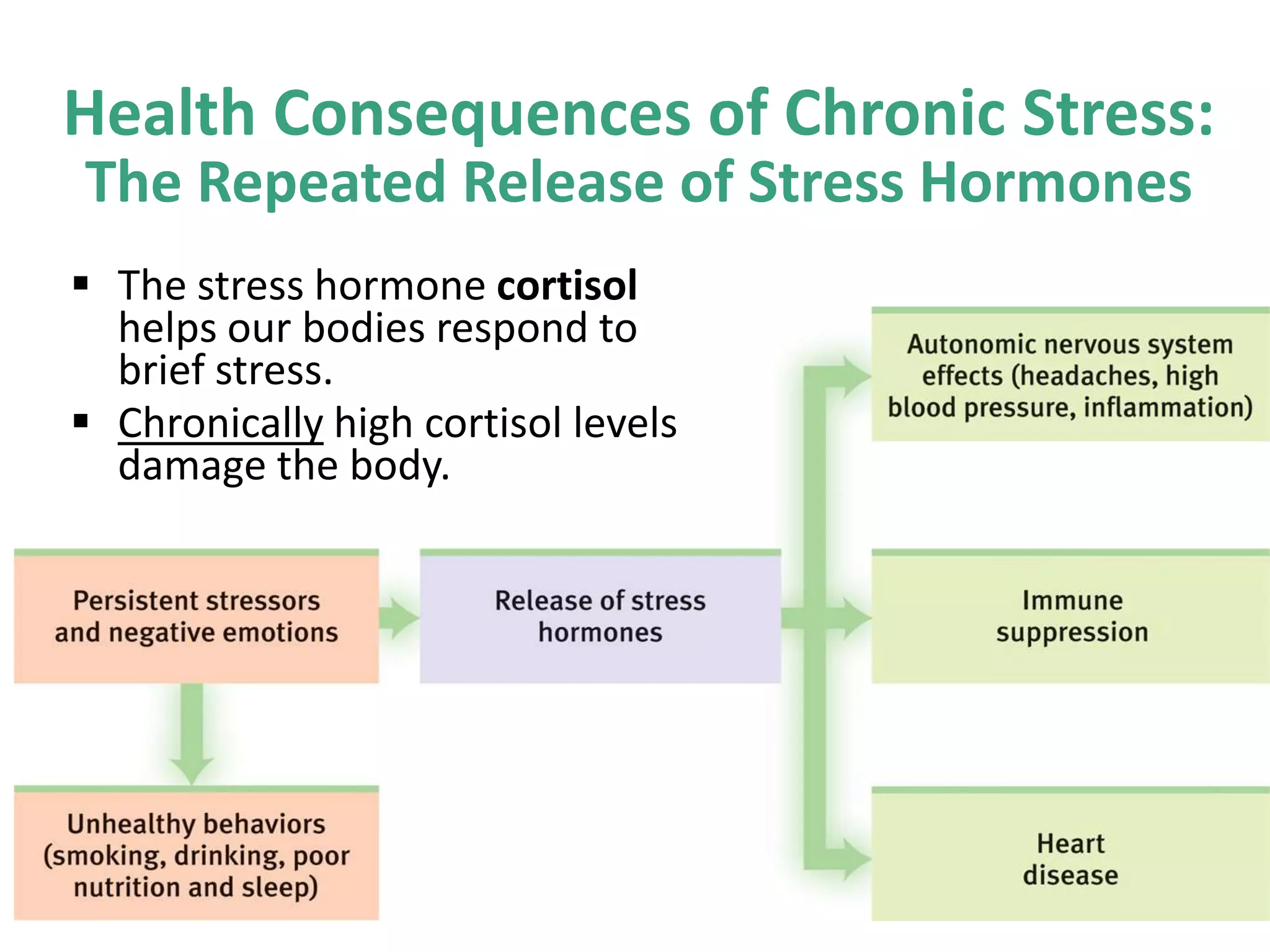 Health Consequences of Chronic Stress:
The Repeated Release of Stress Hormones
 The stress hormone cortisol
helps our bodies respond to
brief stress.
 Chronically high cortisol levels
damage the body.

 