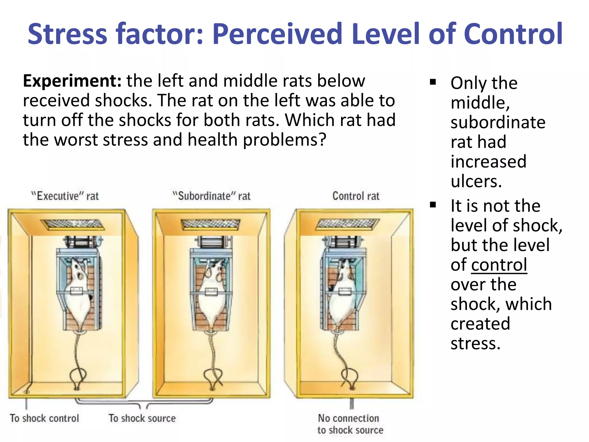Stress factor: Perceived Level of Control
Experiment: the left and middle rats below
received shocks. The rat on the left was able to
turn off the shocks for both rats. Which rat had
the worst stress and health problems?

 Only the
middle,
subordinate
rat had
increased
ulcers.
 It is not the
level of shock,
but the level
of control
over the
shock, which
created
stress.

 