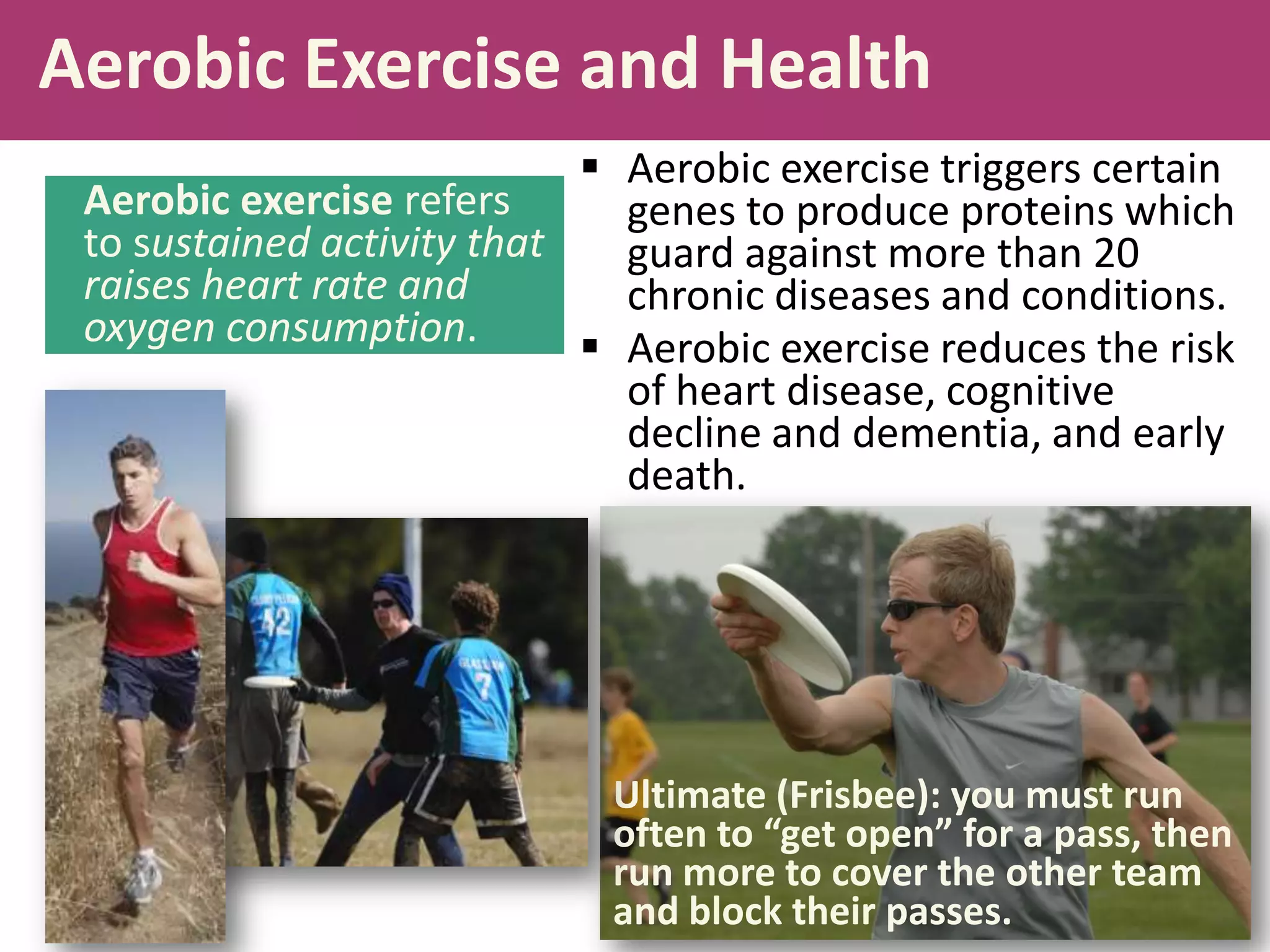 Aerobic Exercise and Health
 Aerobic exercise triggers certain
Aerobic exercise refers
genes to produce proteins which
to sustained activity that
guard against more than 20
raises heart rate and
chronic diseases and conditions.
oxygen consumption.
 Aerobic exercise reduces the risk
of heart disease, cognitive
decline and dementia, and early
death.

Ultimate (Frisbee): you must run
often to “get open” for a pass, then
run more to cover the other team
and block their passes.

 