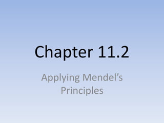 Chapter 11.2
Applying Mendel’s
Principles

 