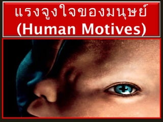 แรงจูง ใจของมนุษ ย์
(Human Motives)

 
