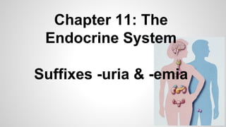 Chapter 11: The
Endocrine System
Suffixes -uria & -emia
 