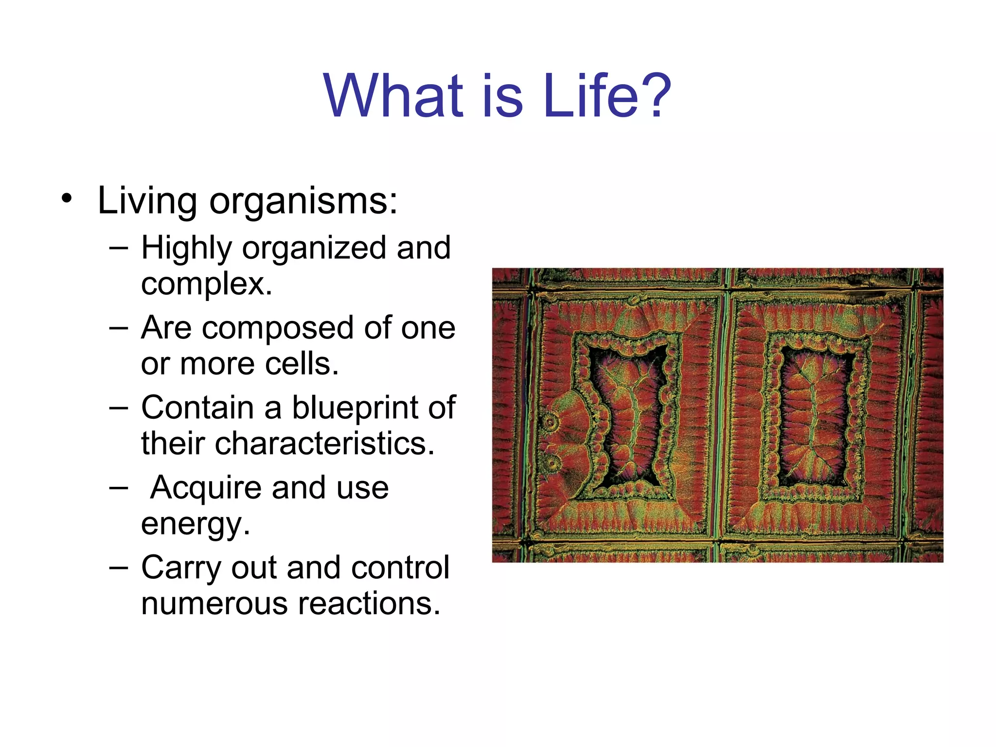 What is Life?
• Living organisms:
– Highly organized and
complex.
– Are composed of one
or more cells.
– Contain a blueprint of
their characteristics.
– Acquire and use
energy.
– Carry out and control
numerous reactions.
 