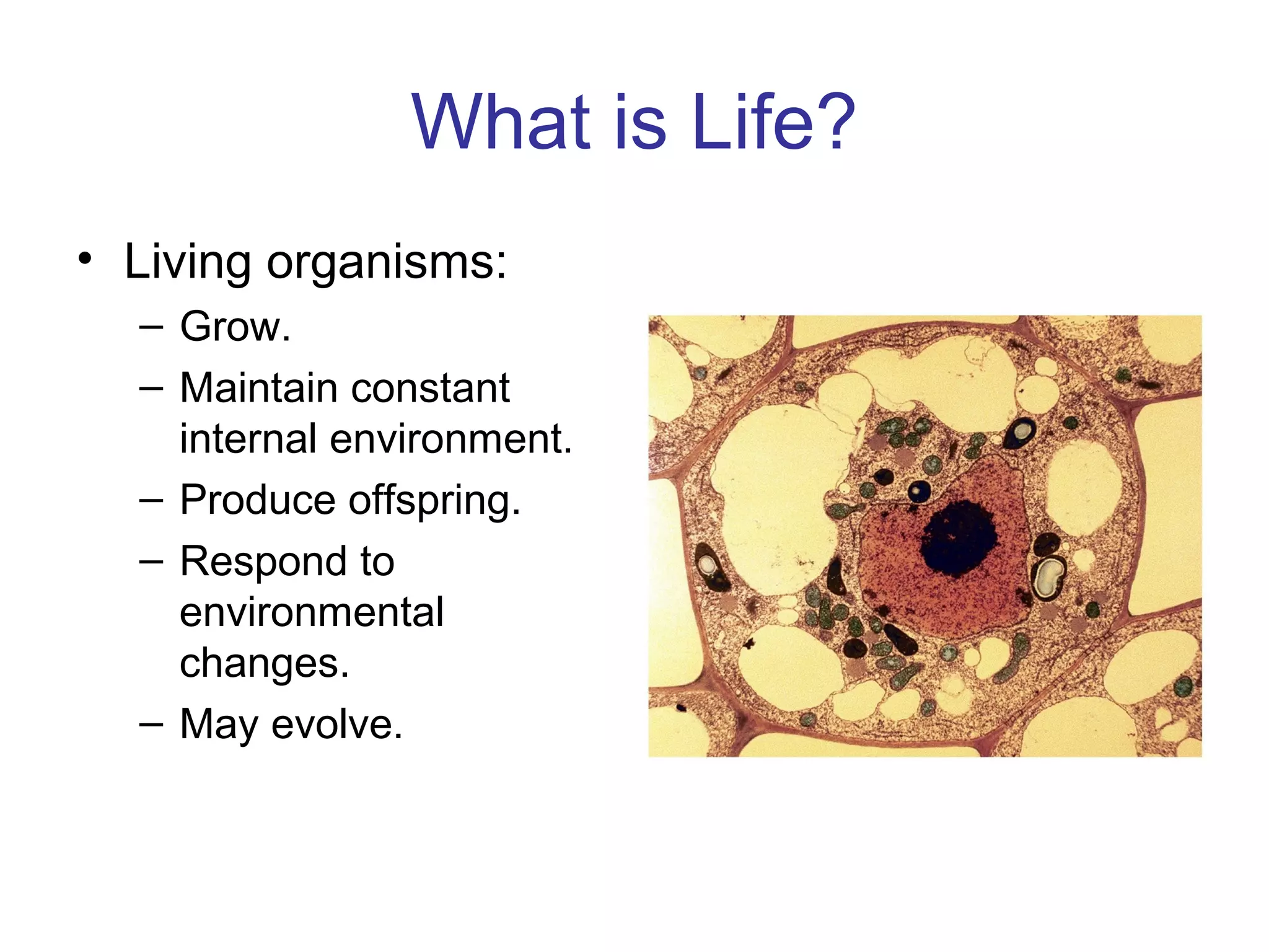 What is Life?
• Living organisms:
– Grow.
– Maintain constant
internal environment.
– Produce offspring.
– Respond to
environmental
changes.
– May evolve.
Insert F01_03b
 