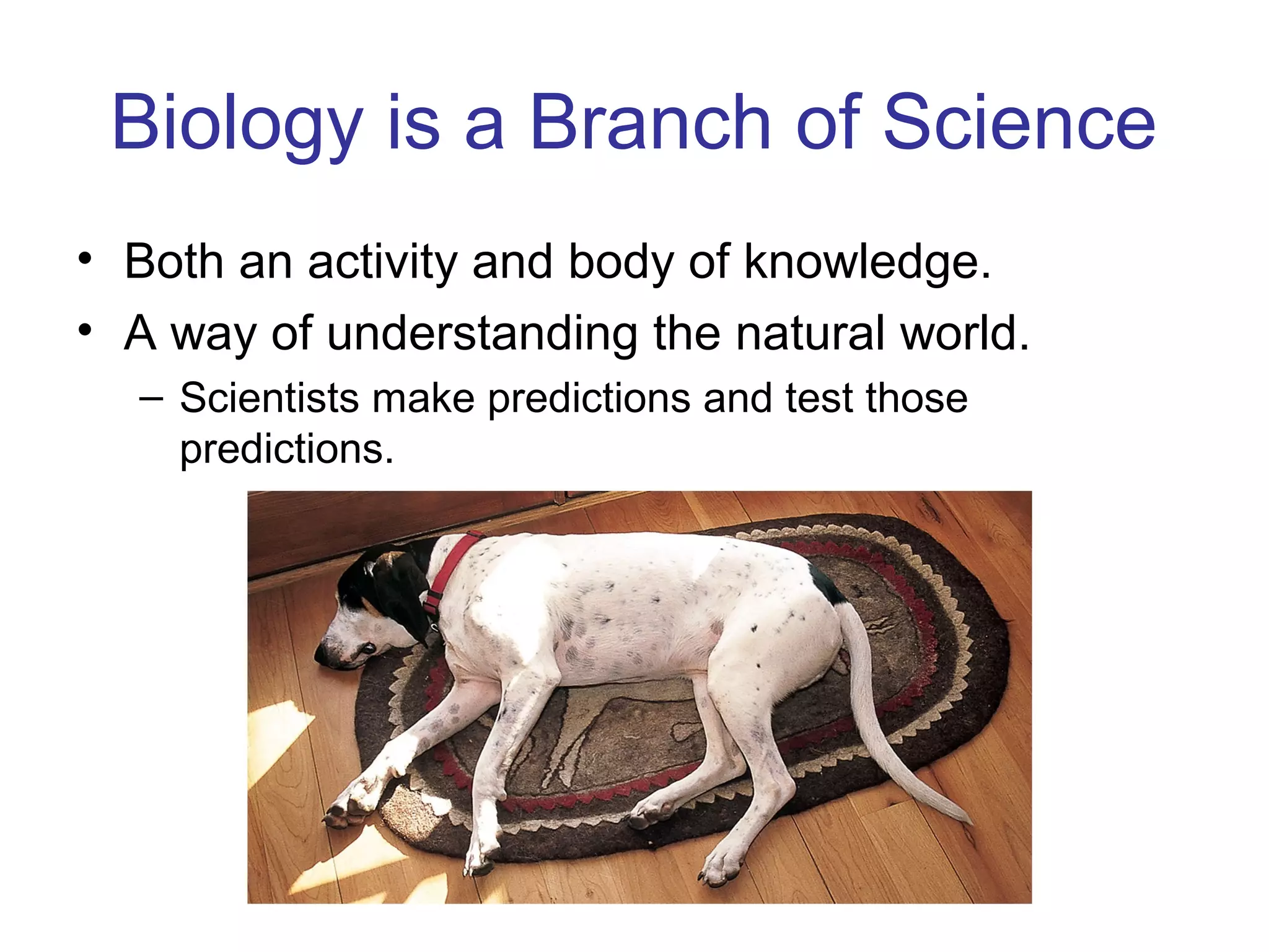 Biology is a Branch of Science
• Both an activity and body of knowledge.
• A way of understanding the natural world.
– Scientists make predictions and test those
predictions.
 