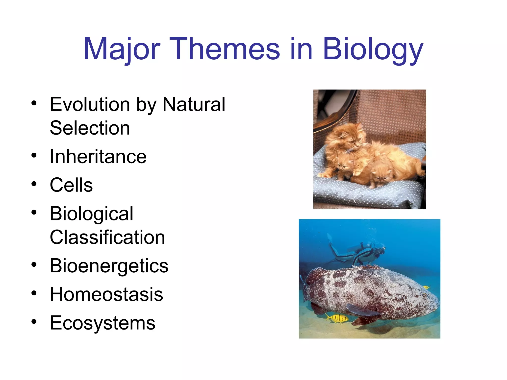 Major Themes in Biology
• Evolution by Natural
Selection
• Inheritance
• Cells
• Biological
Classification
• Bioenergetics
• Homeostasis
• Ecosystems
 