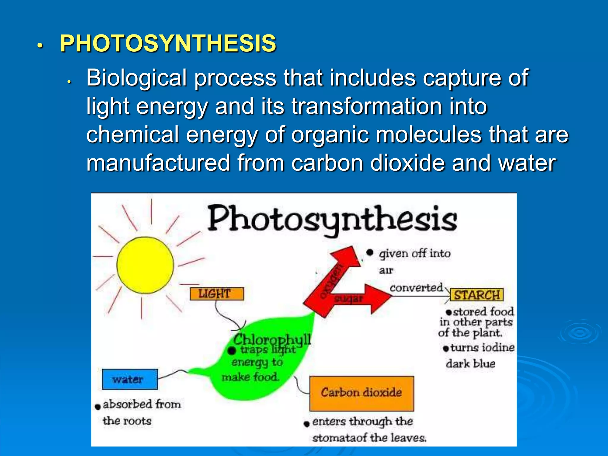 • PHOTOSYNTHESIS 
• Biological process that includes capture of 
light energy and its transformation into 
chemical energy of organic molecules that are 
manufactured from carbon dioxide and water 
 