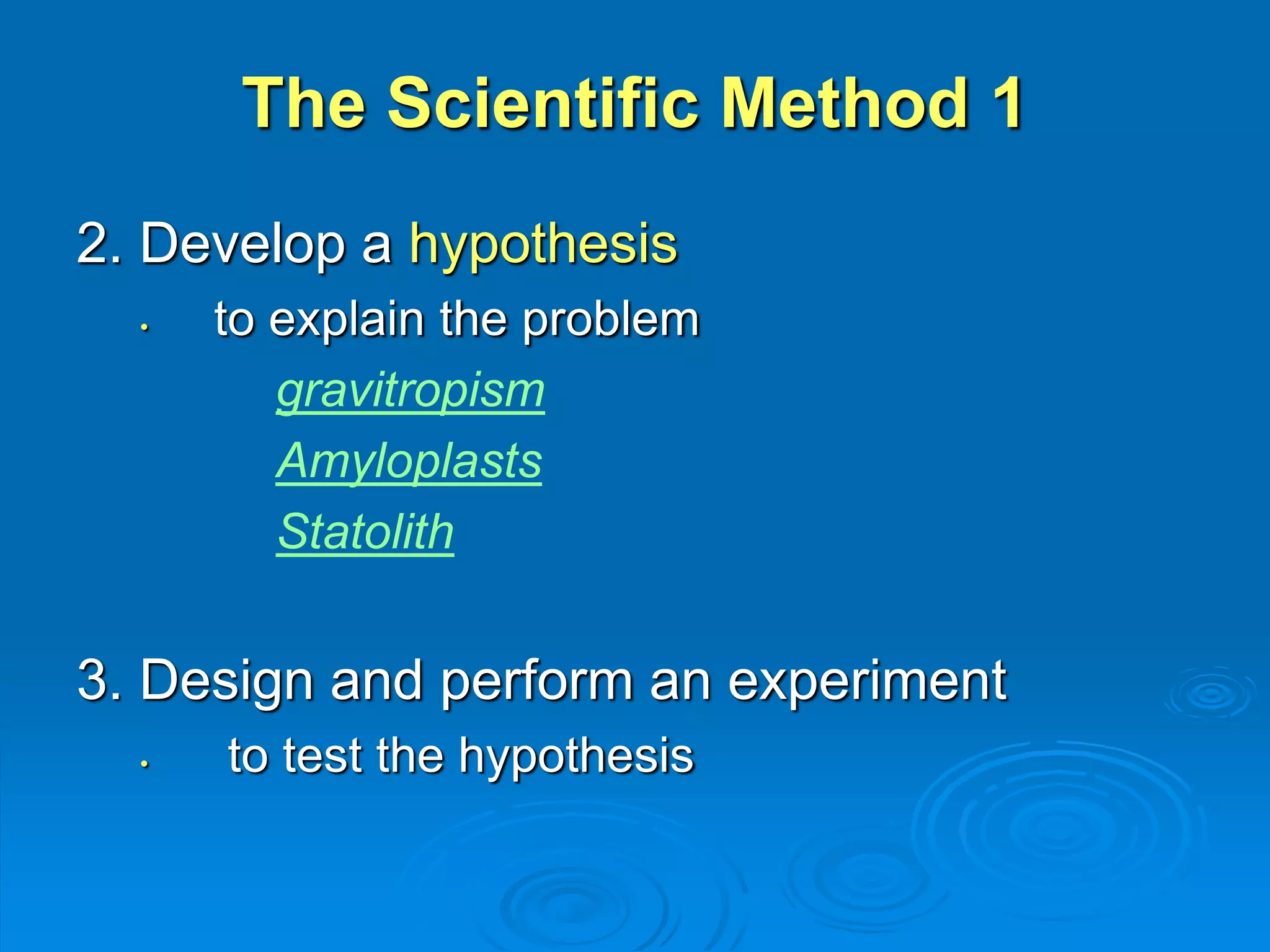 The Scientific Method 1 
2. Develop a hypothesis 
• to explain the problem 
gravitropism 
Amyloplasts 
Statolith 
3. Design and perform an experiment 
• to test the hypothesis 
 