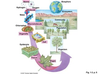 An Introduction to the Science of Botany | PPTX
