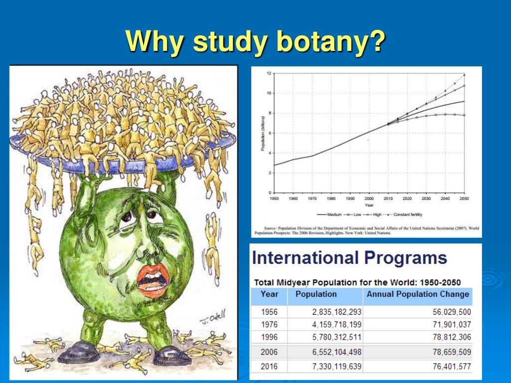 An Introduction to the Science of Botany