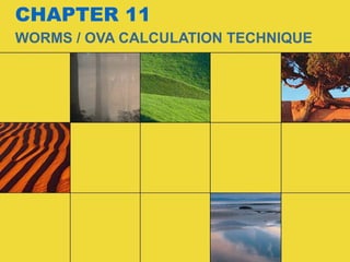 CHAPTER 11
WORMS / OVA CALCULATION TECHNIQUE
 