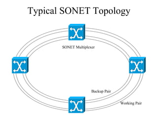 Working Pair
Backup Pair
Typical SONET Topology
SONET Multiplexer
 