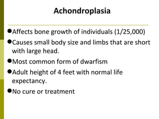 Achondroplasia Affects bone growth of individuals (1/25,000) Causes small body size and limbs that are short with large head. Most common form of dwarfism Adult height of 4 feet with normal life expectancy. No cure or treatment 