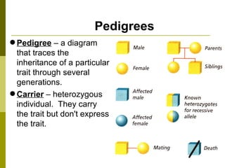 Pedigrees Pedigree  – a diagram that traces the inheritance of a particular trait through several generations. Carrier  – heterozygous individual.  They carry the trait but don't express the trait. 