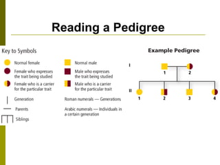 Reading a Pedigree 