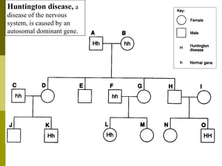 Huntington disease,  a disease of the nervous system, is caused by an autosomal dominant gene. 