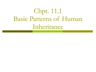 Chpt. 11.1 Basic Patterns of Human Inheritance 