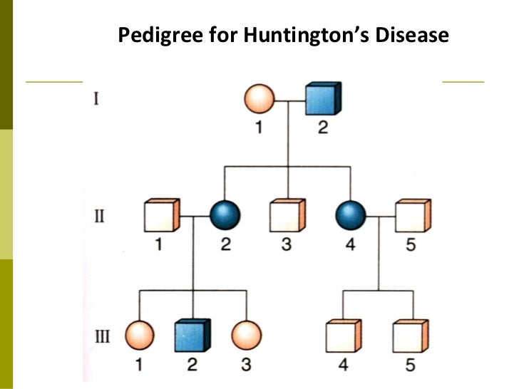 Pedigree Chart For Huntington S Disease