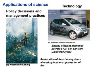 Applications of science
Restoration of forest ecosystems
altered by human suppression of
fire
Policy decisions and
managem...