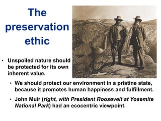 The
land ethic
• Healthy ecological
systems depend on
protecting all parts.
• Aldo Leopold believed
that humans should
vie...