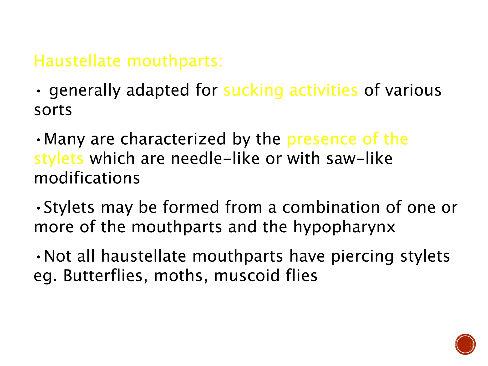 Haustellate mouthparts:
• generally adapted for sucking activities of various
sorts
•Many are characterized by the presence of the
stylets which are needle-like or with saw-like
modifications
•Stylets may be formed from a combination of one or
more of the mouthparts and the hypopharynx
•Not all haustellate mouthparts have piercing stylets
eg. Butterflies, moths, muscoid flies
 