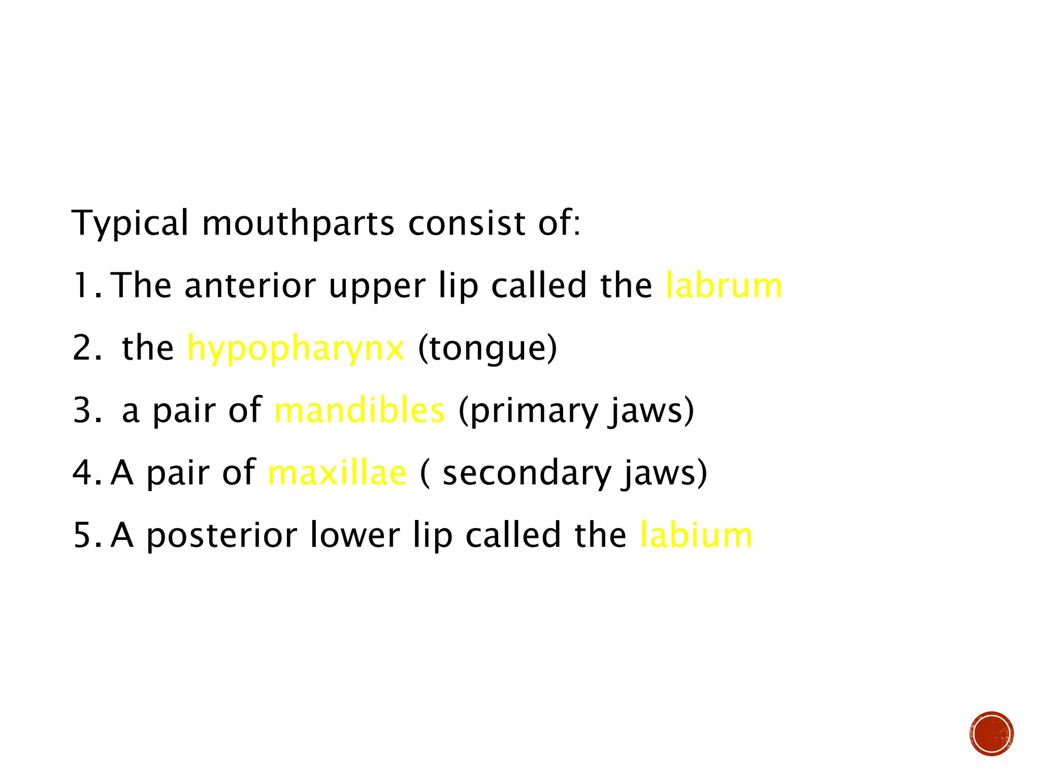 Typical mouthparts consist of:
1. The anterior upper lip called the labrum
2. the hypopharynx (tongue)
3. a pair of mandibles (primary jaws)
4. A pair of maxillae ( secondary jaws)
5. A posterior lower lip called the labium
 