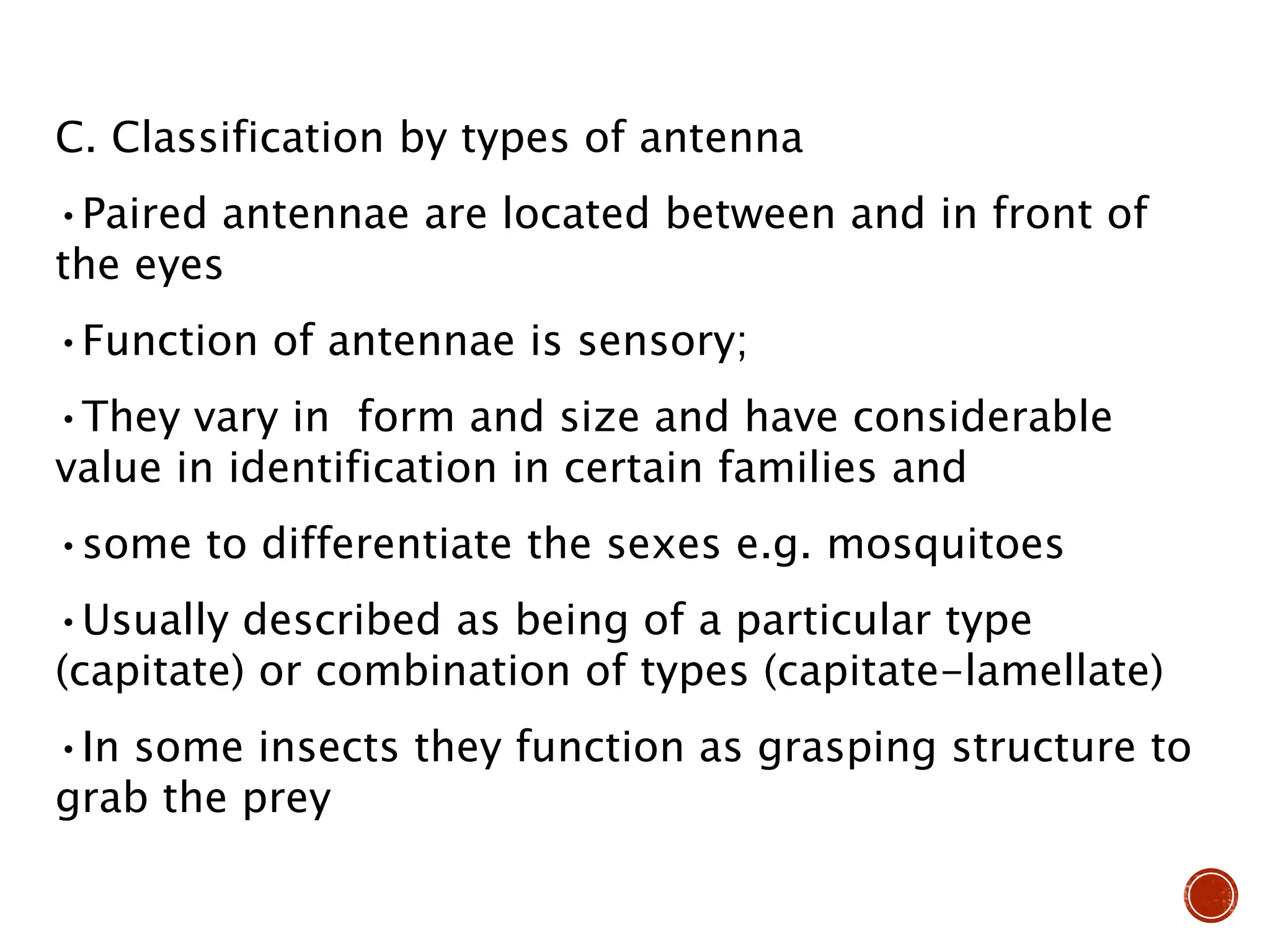 C. Classification by types of antenna
•Paired antennae are located between and in front of
the eyes
•Function of antennae is sensory;
•They vary in form and size and have considerable
value in identification in certain families and
•some to differentiate the sexes e.g. mosquitoes
•Usually described as being of a particular type
(capitate) or combination of types (capitate-lamellate)
•In some insects they function as grasping structure to
grab the prey
 