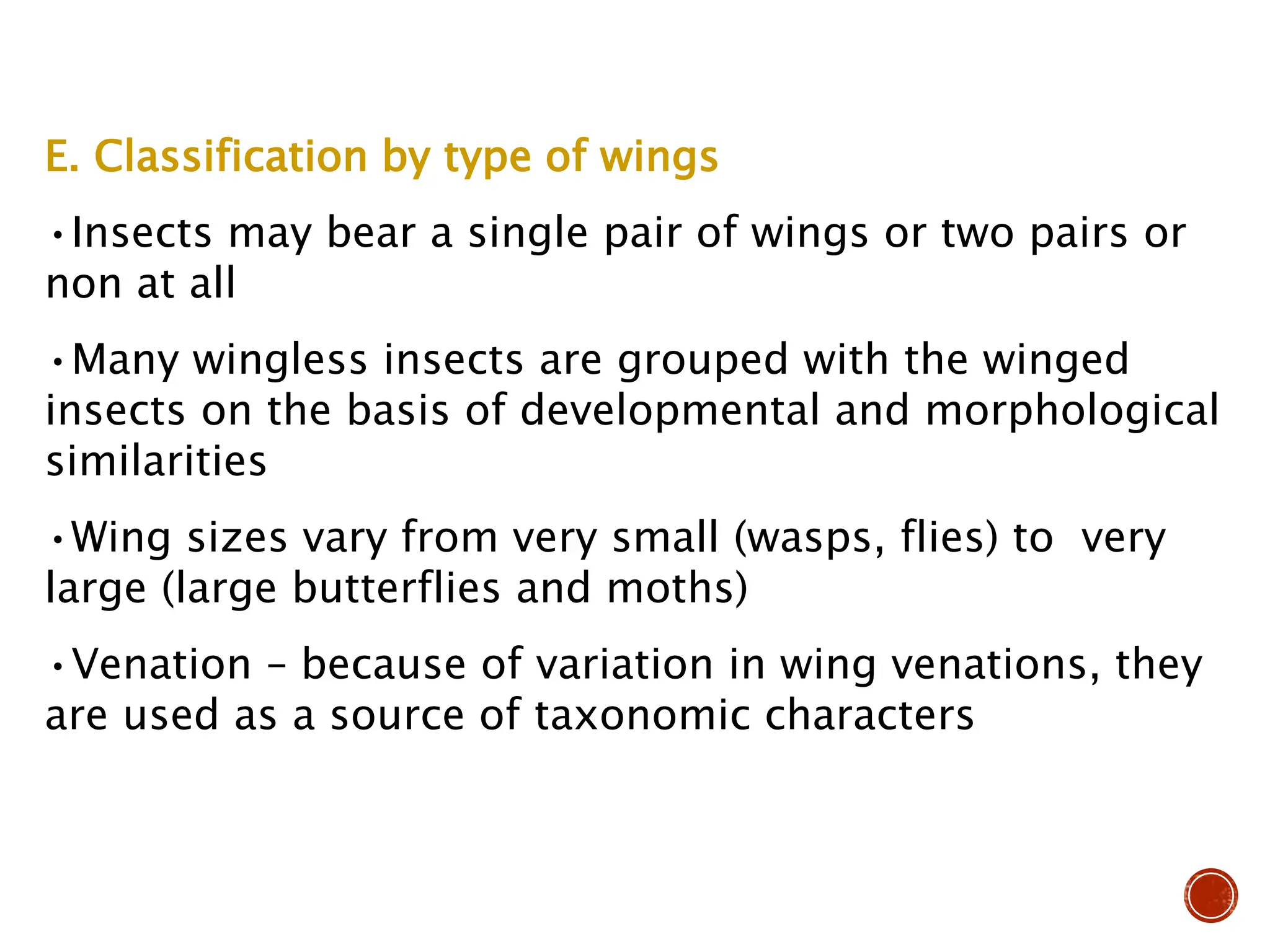 E. Classification by type of wings
•Insects may bear a single pair of wings or two pairs or
non at all
•Many wingless insects are grouped with the winged
insects on the basis of developmental and morphological
similarities
•Wing sizes vary from very small (wasps, flies) to very
large (large butterflies and moths)
•Venation – because of variation in wing venations, they
are used as a source of taxonomic characters
 