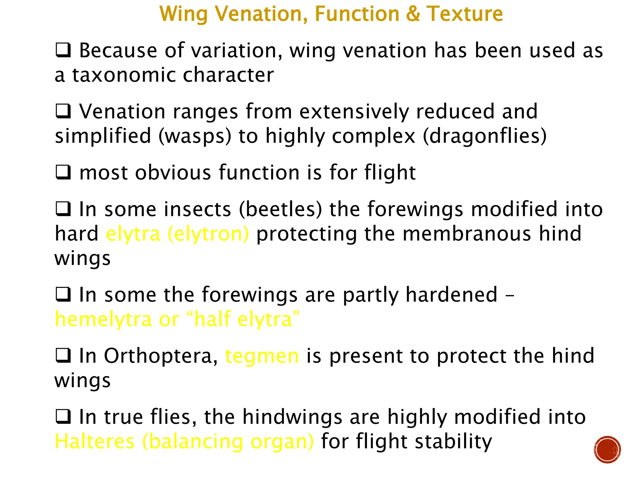 Wing Venation, Function & Texture
 Because of variation, wing venation has been used as
a taxonomic character
 Venation ranges from extensively reduced and
simplified (wasps) to highly complex (dragonflies)
 most obvious function is for flight
 In some insects (beetles) the forewings modified into
hard elytra (elytron) protecting the membranous hind
wings
 In some the forewings are partly hardened –
hemelytra or “half elytra”
 In Orthoptera, tegmen is present to protect the hind
wings
 In true flies, the hindwings are highly modified into
Halteres (balancing organ) for flight stability
 