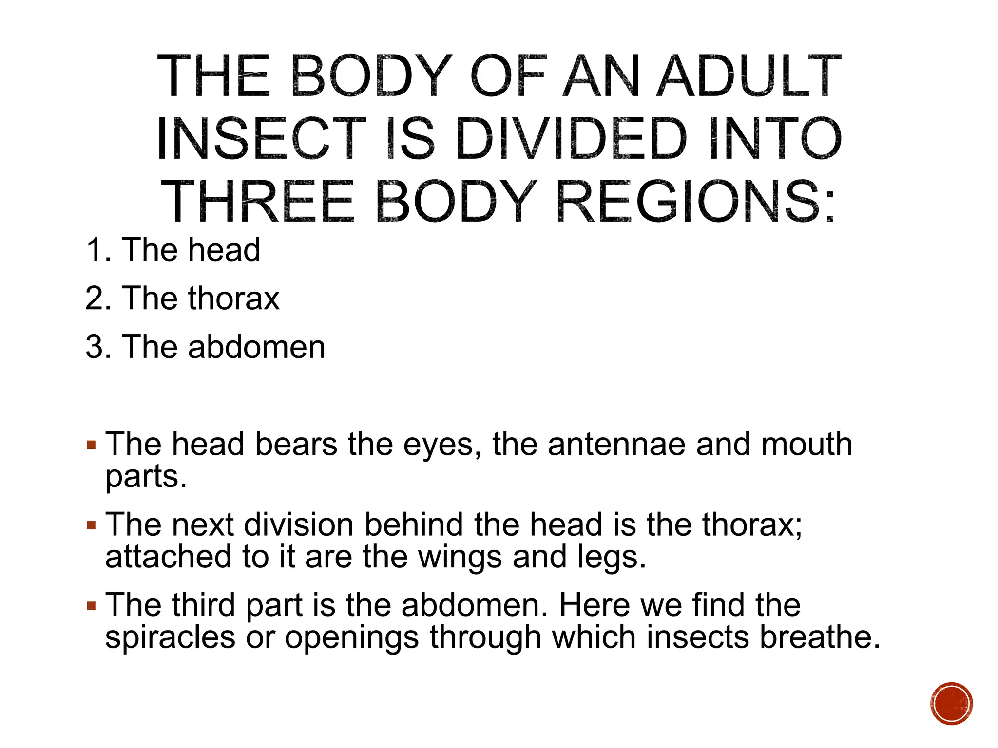 1. The head
2. The thorax
3. The abdomen
 The head bears the eyes, the antennae and mouth
parts.
 The next division behind the head is the thorax;
attached to it are the wings and legs.
 The third part is the abdomen. Here we find the
spiracles or openings through which insects breathe.
 