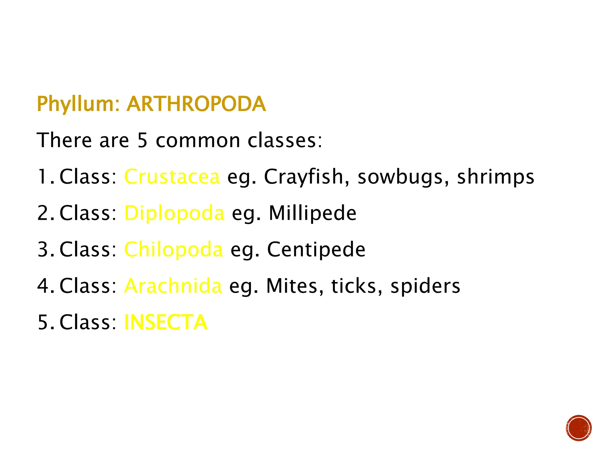 Phyllum: ARTHROPODA
There are 5 common classes:
1. Class: Crustacea eg. Crayfish, sowbugs, shrimps
2. Class: Diplopoda eg. Millipede
3. Class: Chilopoda eg. Centipede
4. Class: Arachnida eg. Mites, ticks, spiders
5. Class: INSECTA
 