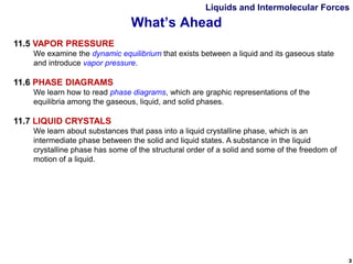Comprehensive Exploration of Liquids and Intermolecular Forces in ...