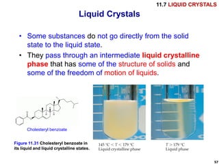Comprehensive Exploration of Liquids and Intermolecular Forces in ...