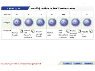 Complex Inheritance and Human Heredity 