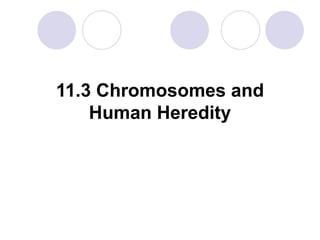 11.3 Chromosomes and Human Heredity 