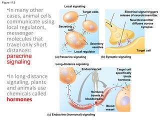 Chapter 11: Cell Communication | PPT