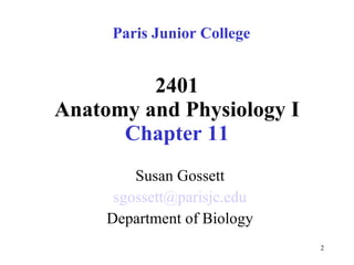 Chapter 11 Nervous System II- Divisions of the Nervous System | PPT