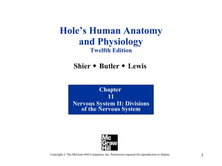 Chapter 11 Nervous System II- Divisions of the Nervous System | PPT