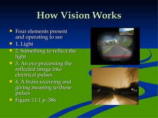 How Vision Works Four elements present and operating to see 1. Light 2. Something to reflect the light 3. An eye processing the reflected image into electrical pulses 4. A brain receiving and giving meaning to those pulses Figure 11.1 p. 386 