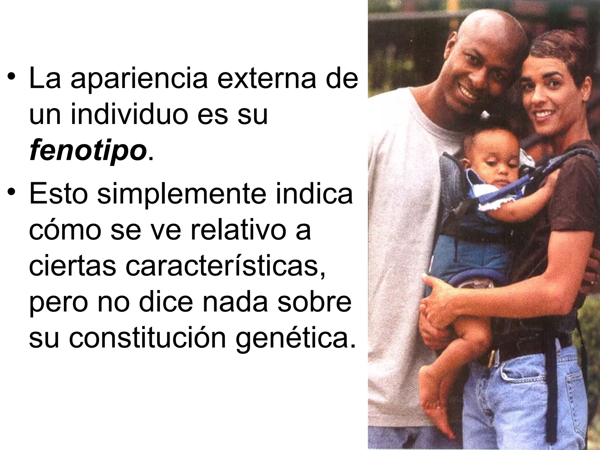 • La apariencia externa de
  un individuo es su
  fenotipo.
• Esto simplemente indica
  cómo se ve relativo a
  ciertas características,
  pero no dice nada sobre
  su constitución genética.
 