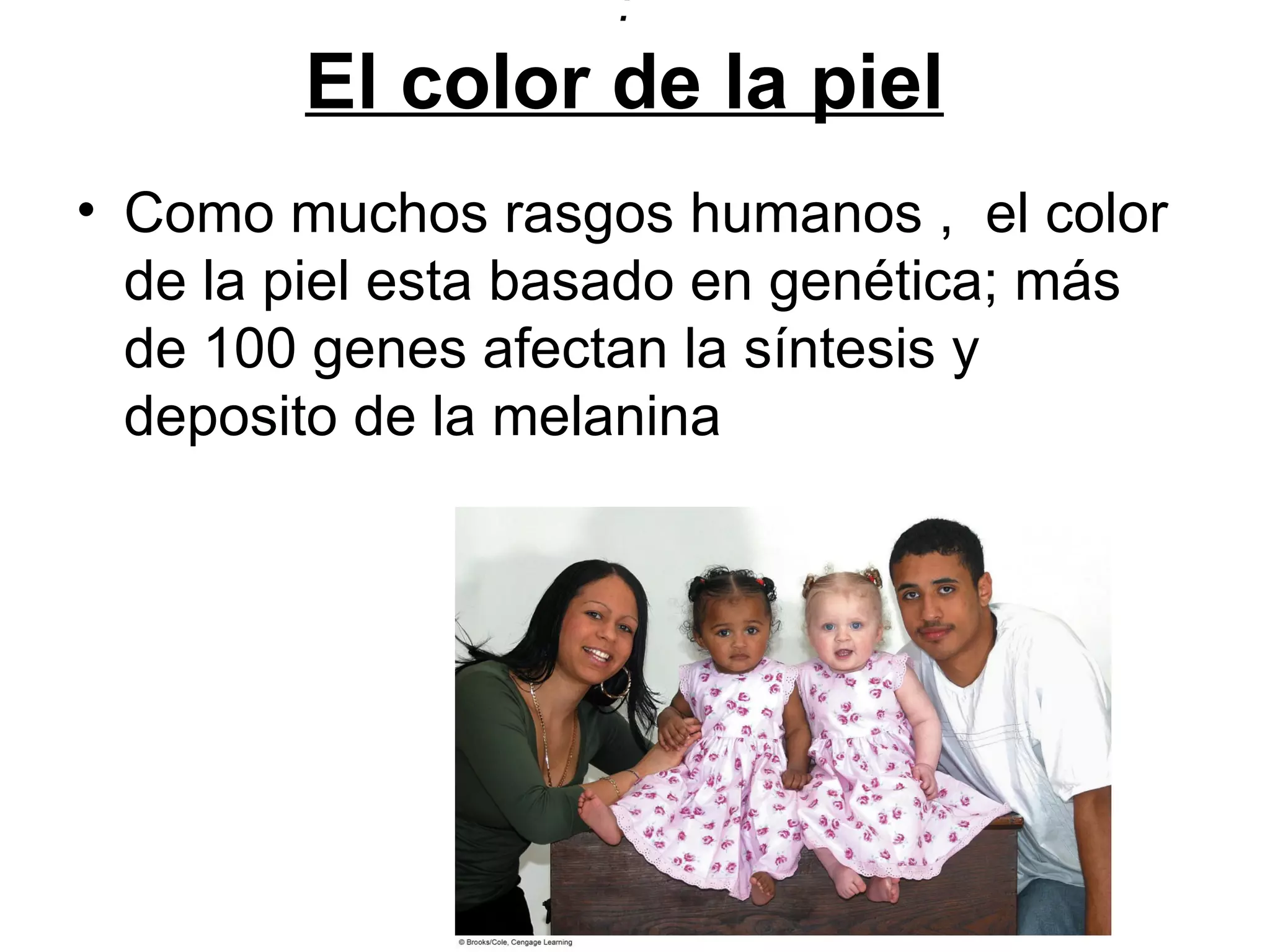 :
        El color de la piel
• Como muchos rasgos humanos , el color
  de la piel esta basado en genética; más
  de 100 genes afectan la síntesis y
  deposito de la melanina
 