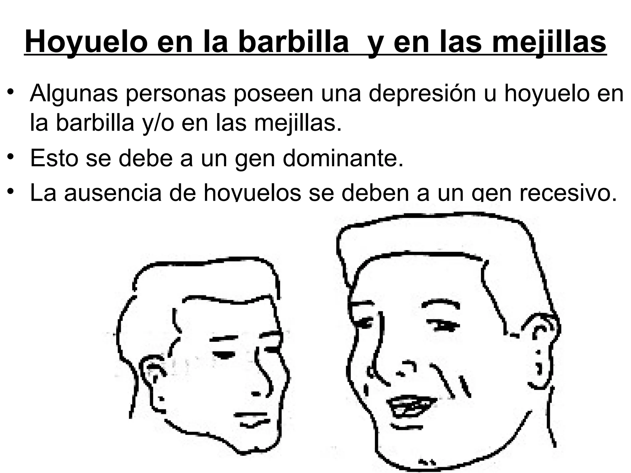 Hoyuelo en la barbilla y en las mejillas
• Algunas personas poseen una depresión u hoyuelo en
  la barbilla y/o en las mejillas.
• Esto se debe a un gen dominante.
• La ausencia de hoyuelos se deben a un gen recesivo.
 