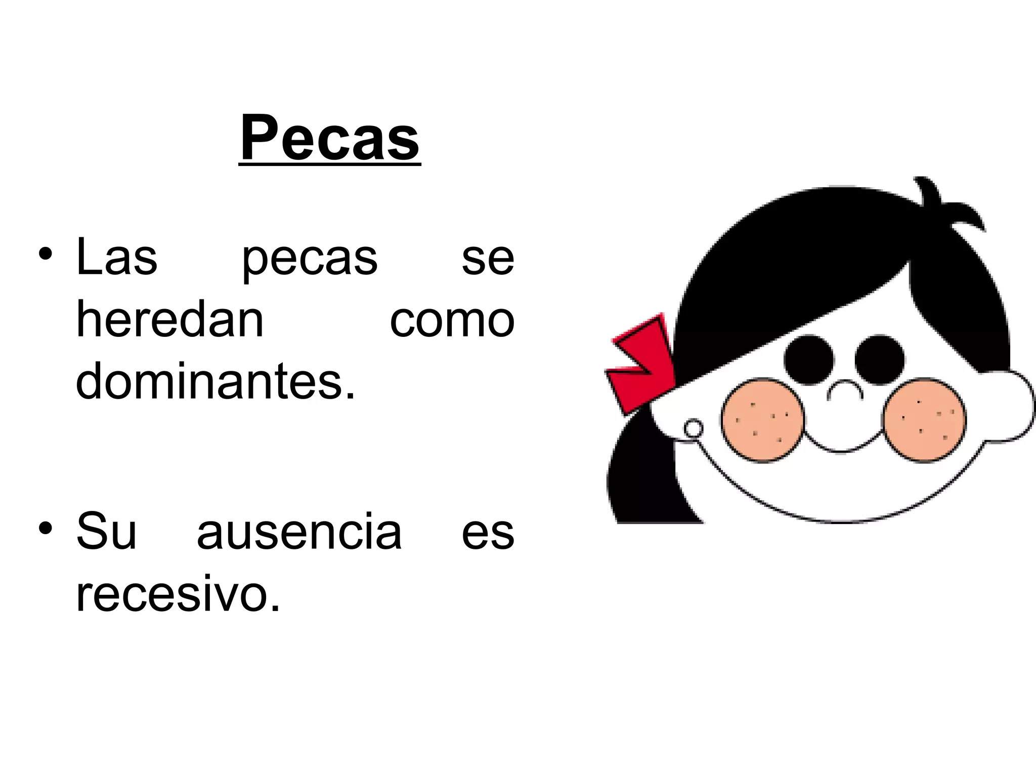 Pecas
• Las   pecas   se
  heredan     como
  dominantes.

• Su ausencia   es
  recesivo.
 