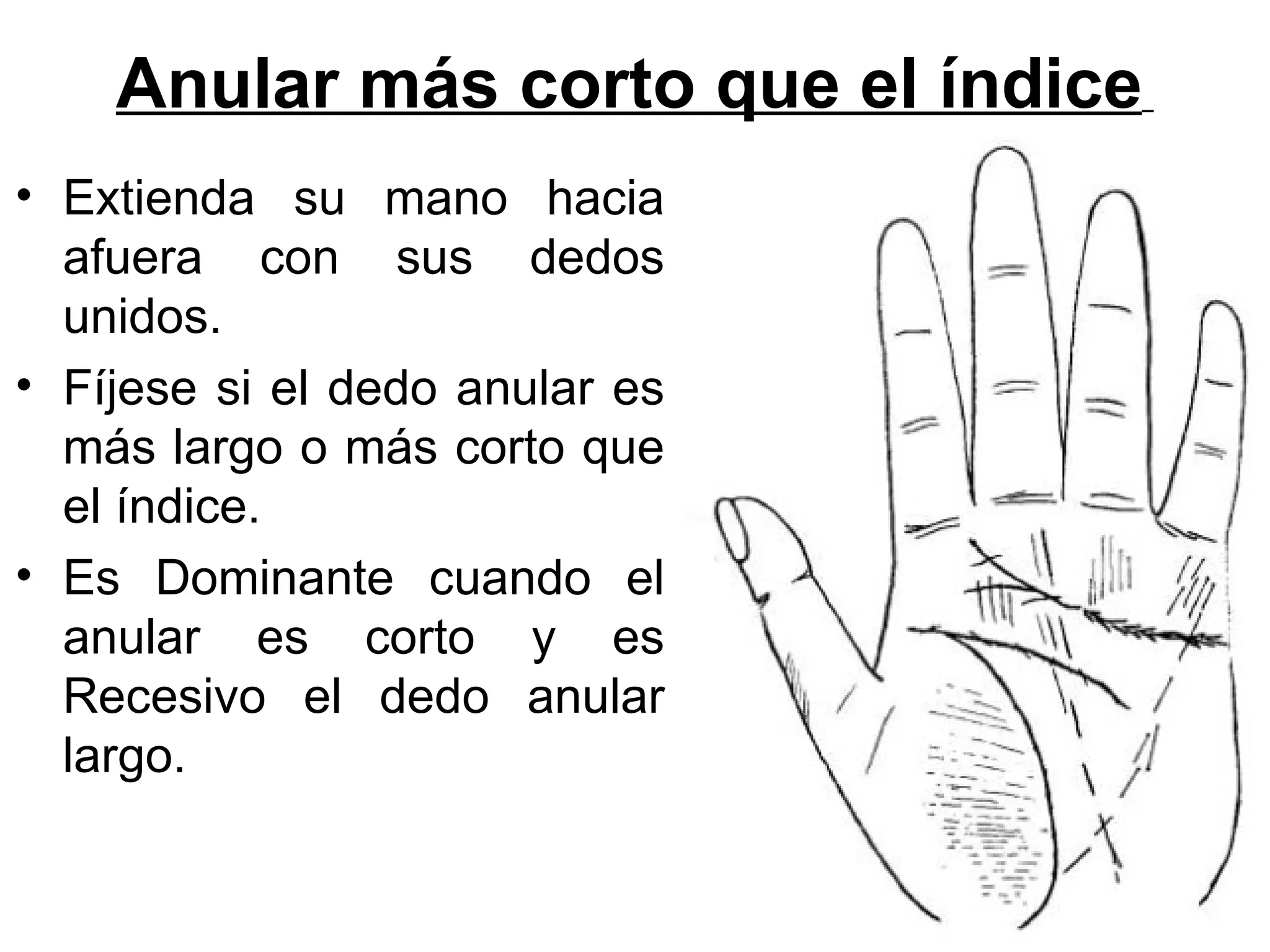 Anular más corto que el índice
• Extienda su mano hacia
  afuera con sus dedos
  unidos.
• Fíjese si el dedo anular es
  más largo o más corto que
  el índice.
• Es Dominante cuando el
  anular es corto y es
  Recesivo el dedo anular
  largo.
 