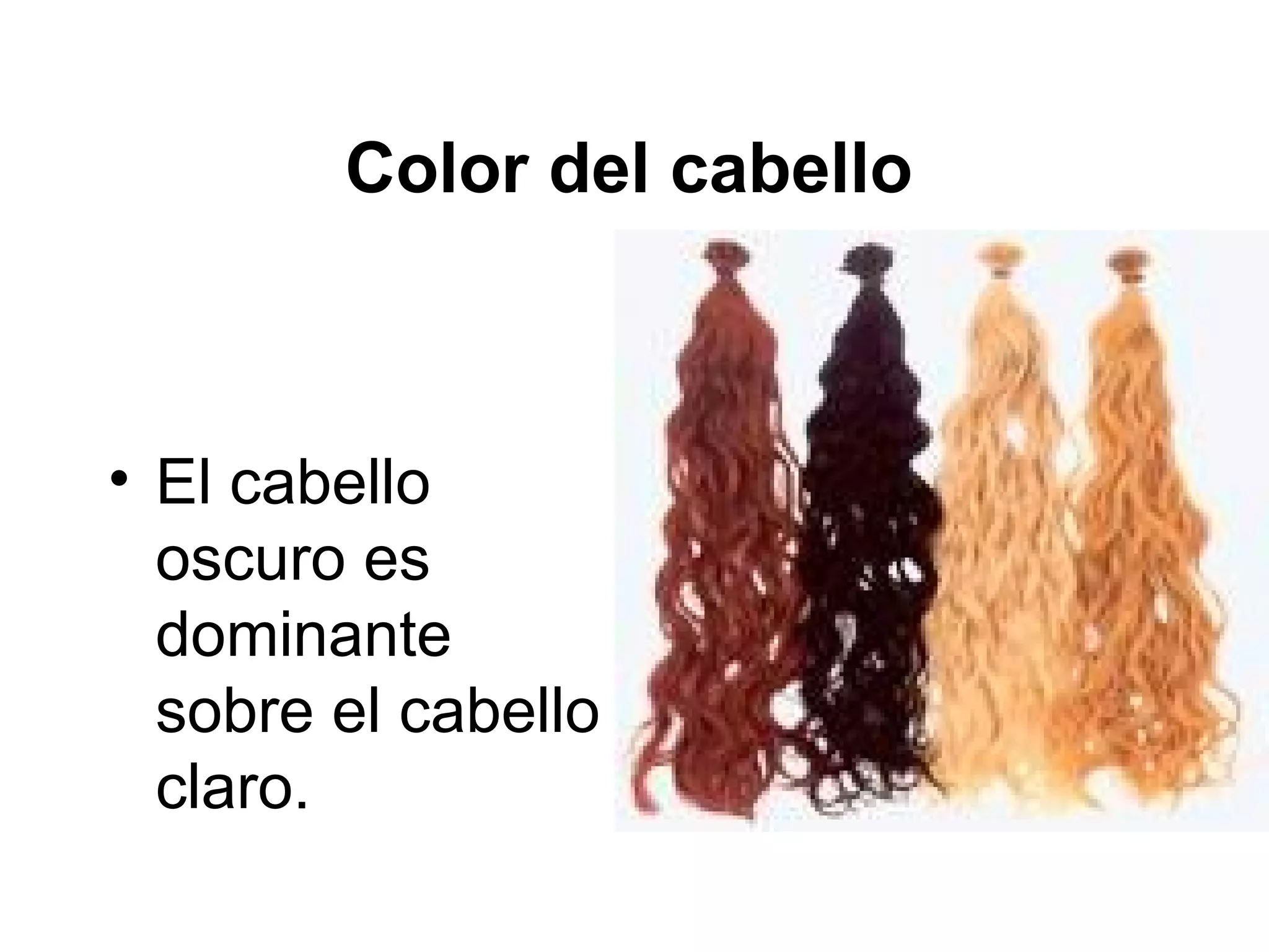 Color del cabello



• El cabello
  oscuro es
  dominante
  sobre el cabello
  claro.
 
