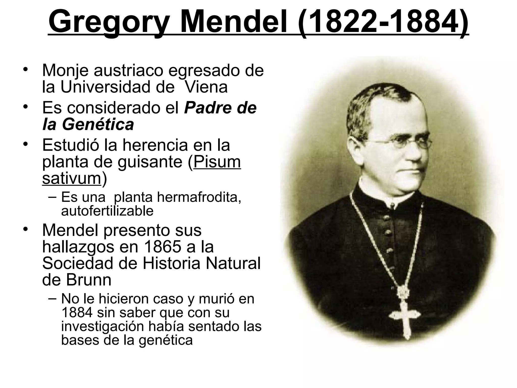 Gregory Mendel (1822-1884)
• Monje austriaco egresado de
  la Universidad de Viena
• Es considerado el Padre de
  la Genética
• Estudió la herencia en la
  planta de guisante (Pisum
  sativum)
   – Es una planta hermafrodita,
     autofertilizable
• Mendel presento sus
  hallazgos en 1865 a la
  Sociedad de Historia Natural
  de Brunn
   – No le hicieron caso y murió en
     1884 sin saber que con su
     investigación había sentado las
     bases de la genética
 