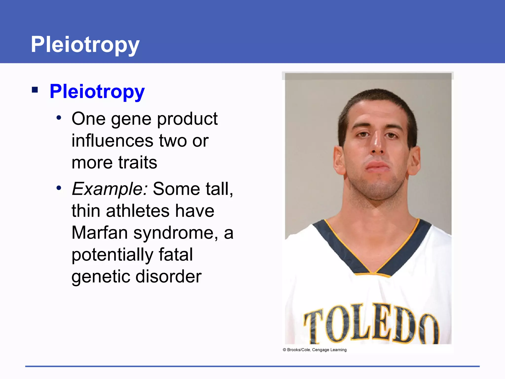 Pleiotropy
 Pleiotropy
  • One gene product
    influences two or
    more traits
  • Example: Some tall,
    thin athletes have
    Marfan syndrome, a
    potentially fatal
    genetic disorder
 