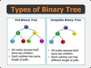 Data Structure (Tree) | PPSX | Technology & Computing