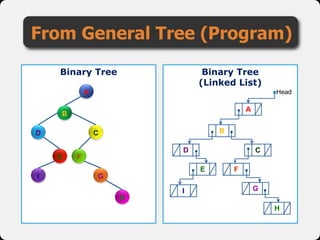 From General Tree (Program)
Binary Tree
(Linked List)
A
B
D
E F
C
I G
H
Head
Binary Tree
A
B
H
CD
E F
GI
 