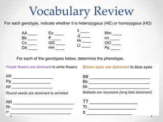 Chapter 11 Introduction to Genetics | PPTX